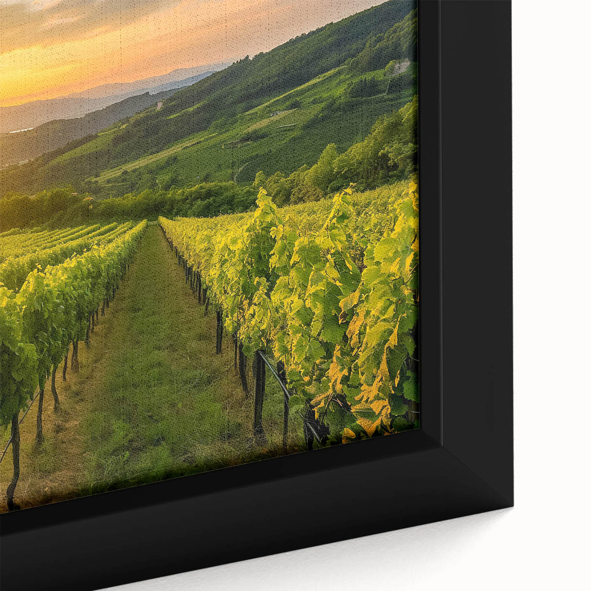 Framed canvas wall art showcasing a vibrant vineyard landscape with lush green vines, rolling hills, and a clear blue sky, perfect for enhancing home decor.