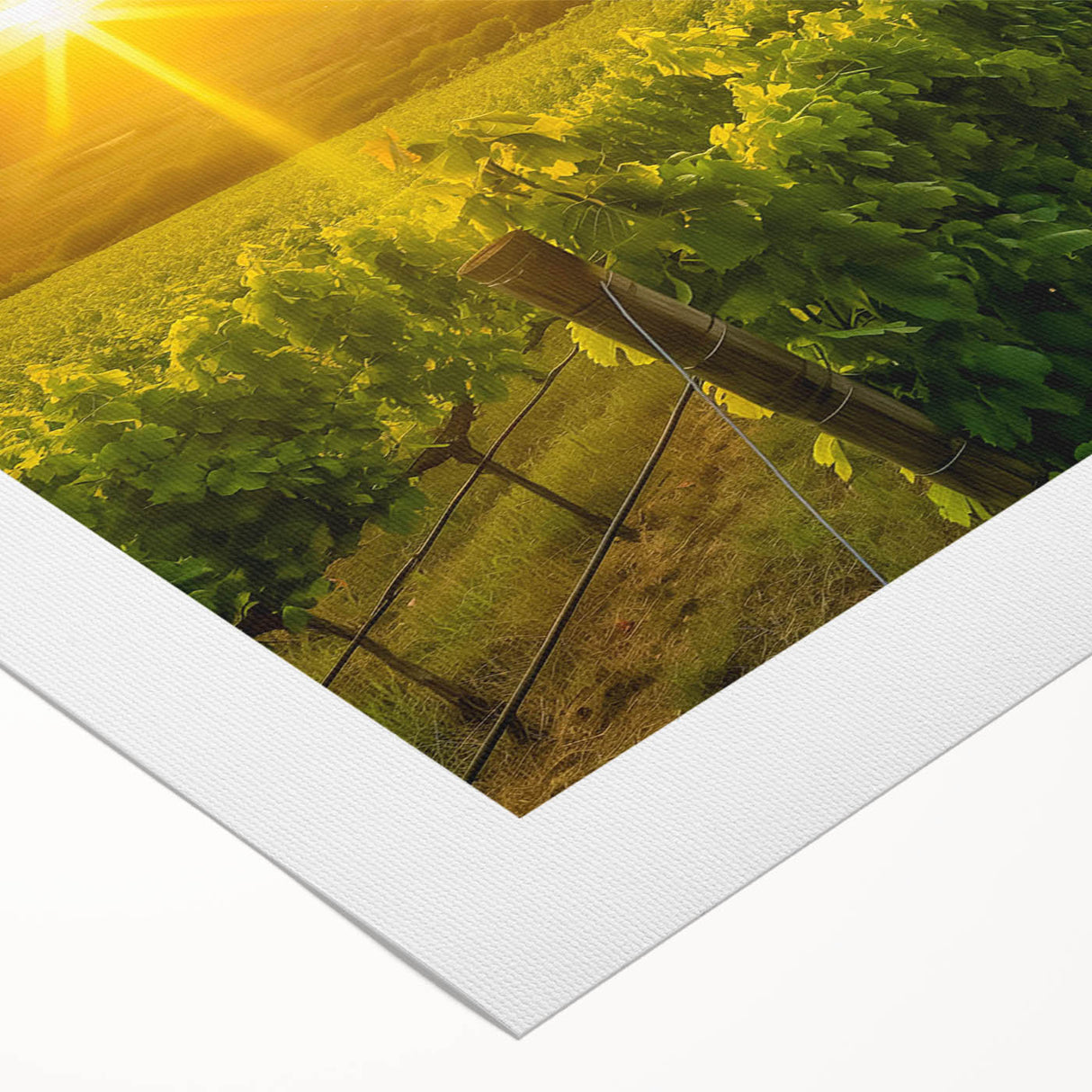Vibrant landscape canvas art depicting a serene vineyard scene, showcasing lush green vines and rolling hills, perfect for home decor in a wine-themed setting.