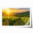 Vibrant rolled wall art print depicting a serene vineyard landscape, showcasing lush green grapevines under a clear blue sky, ideal for home decor.