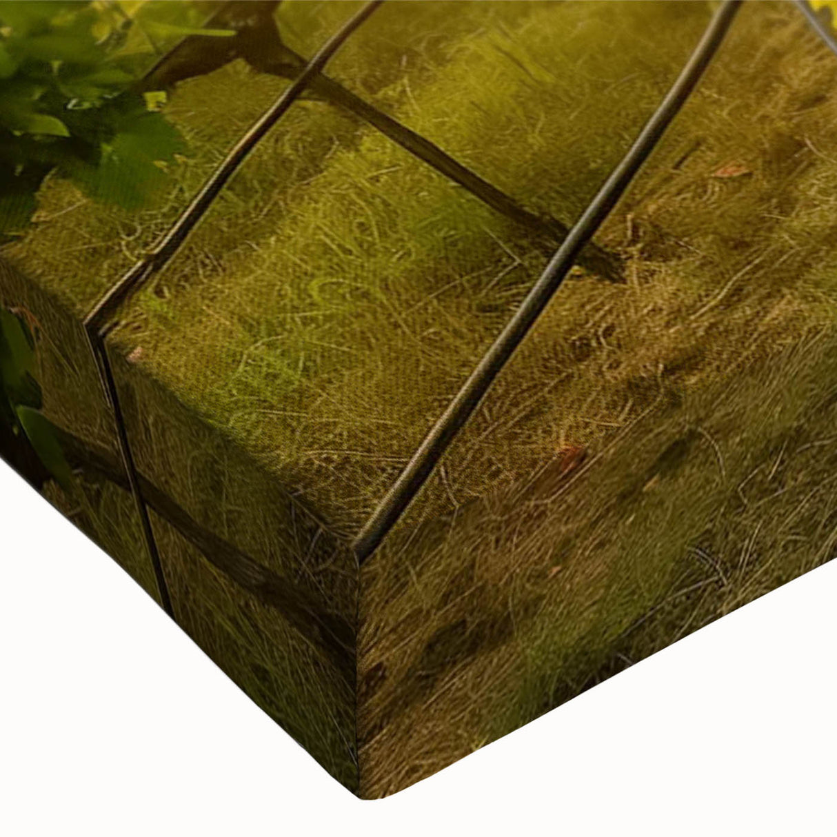 Close-up of a vibrant vineyard landscape wall art design on stretched canvas, showcasing rich green vines and a serene sunset backdrop, perfect for home decor.