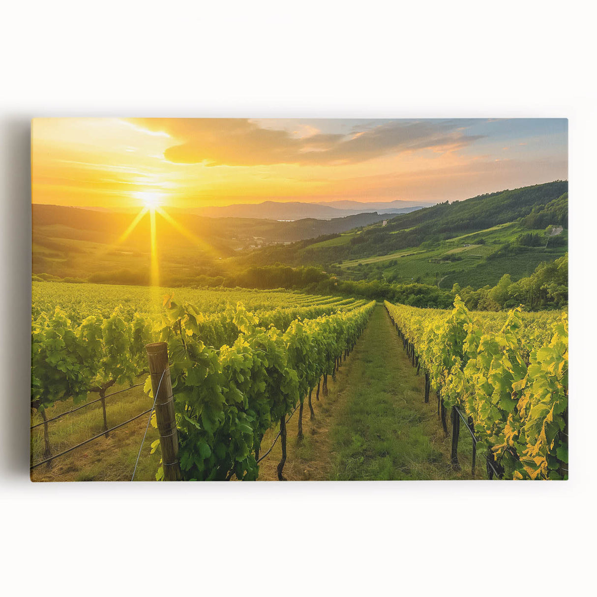 Stretched canvas wall art showcasing a vibrant vineyard landscape design, featuring lush green vines and rolling hills, perfect for enhancing home decor.