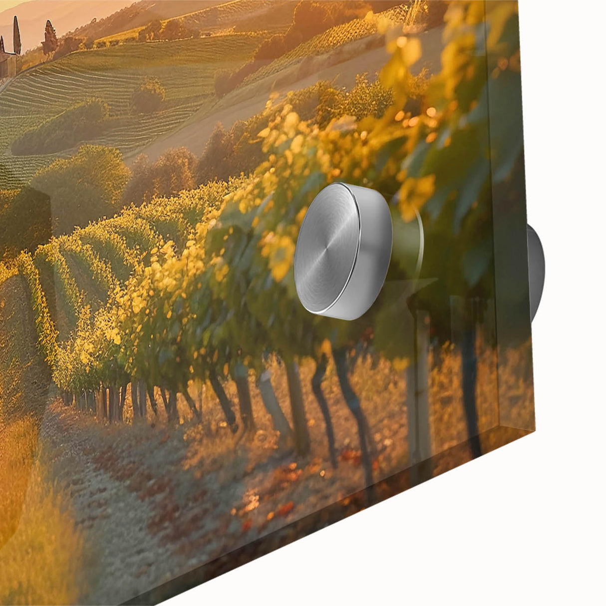 Close-up of a vibrant vineyard landscape wall art design, showcasing rich green grapevines and rolling hills, perfect for enhancing home decor.