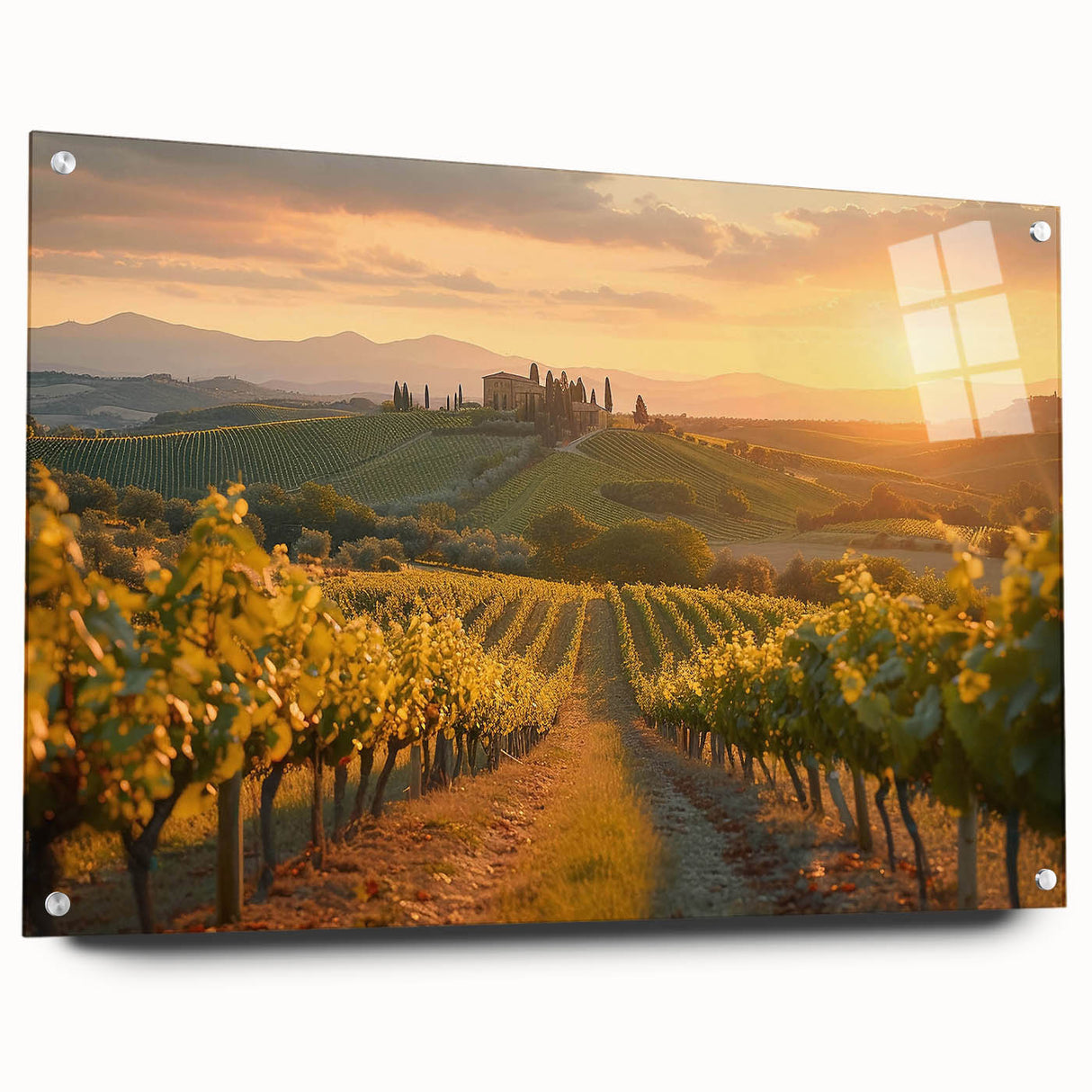Vibrant acrylic glass wall art showcasing a stunning vineyard landscape design, capturing rich greens and earthy tones, perfect for enhancing home decor elegance.