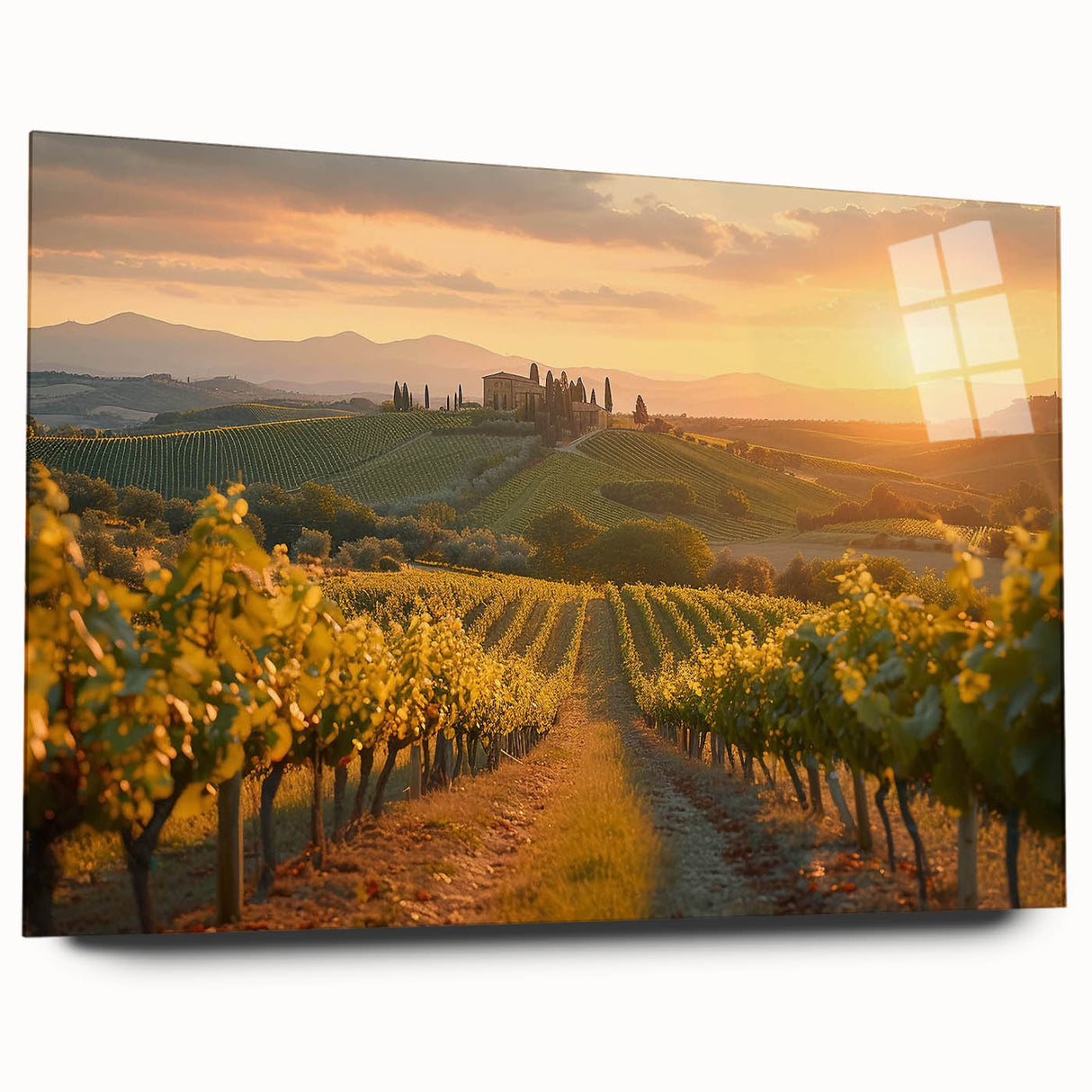 Acrylic glass wall art featuring a vibrant vineyard landscape design, showcasing lush green vines and rolling hills, ideal for enhancing home decor with a nature-inspired theme.