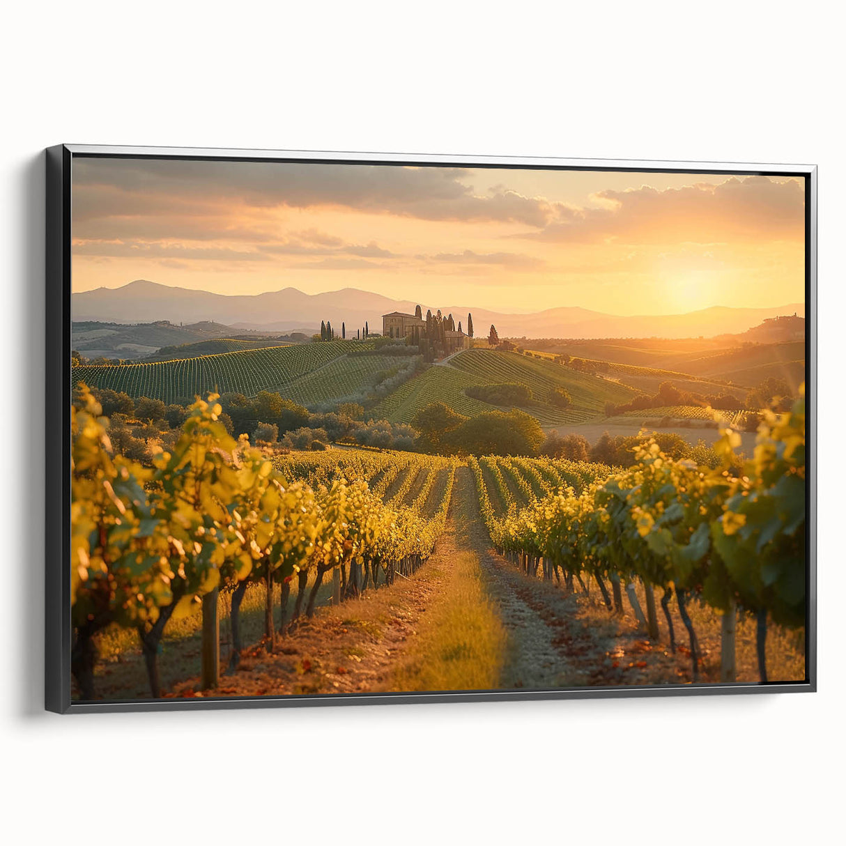 Framed canvas wall art showcasing a picturesque vineyard landscape with lush green vines and rolling hills, set in an elegant black frame, perfect for modern decor.