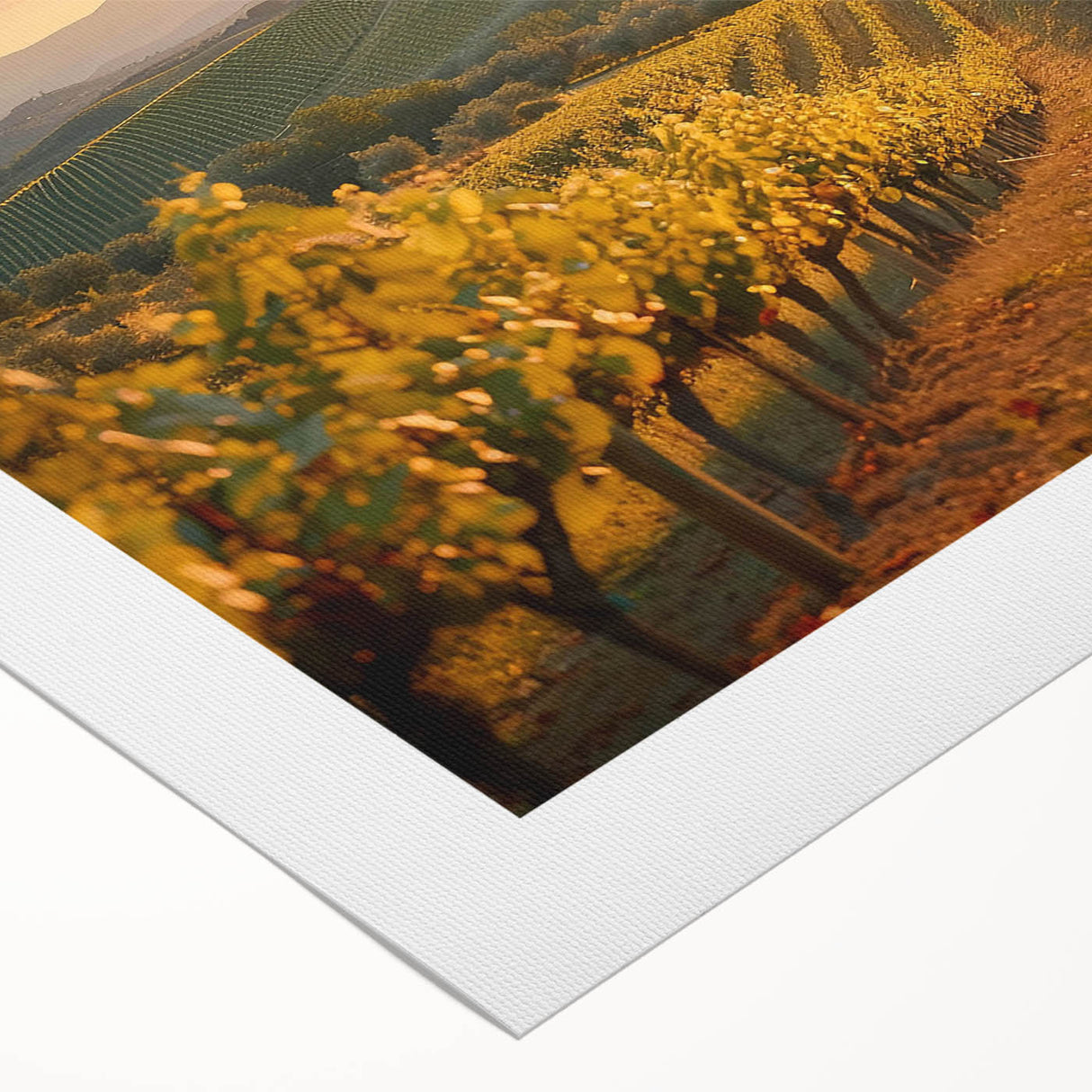 Vibrant rolled canvas artwork depicting a scenic vineyard landscape with lush green vines, rolling hills, and a clear blue sky, ideal for home decor.