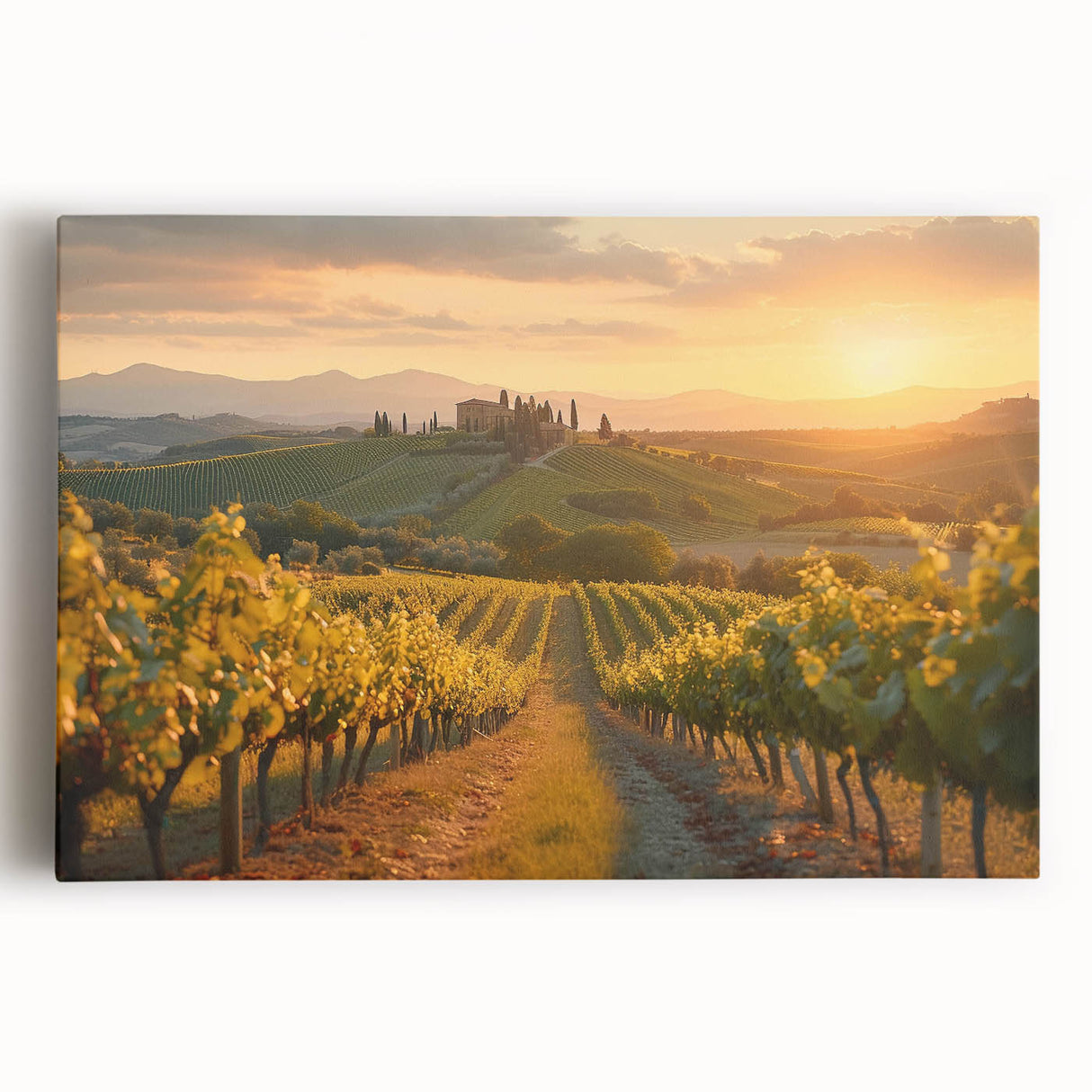 Stretched canvas artwork depicting a vibrant vineyard landscape, showcasing lush green vines under a bright blue sky, perfect for enhancing any home decor.