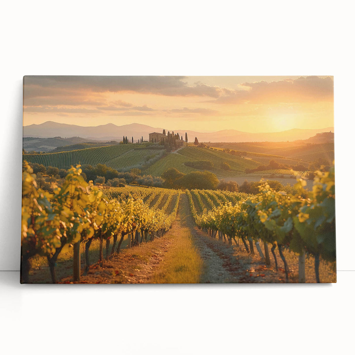Stretched canvas wall art showcasing a vibrant vineyard landscape, featuring lush green vines and rolling hills, perfect for enhancing home decor with nature-inspired elegance.