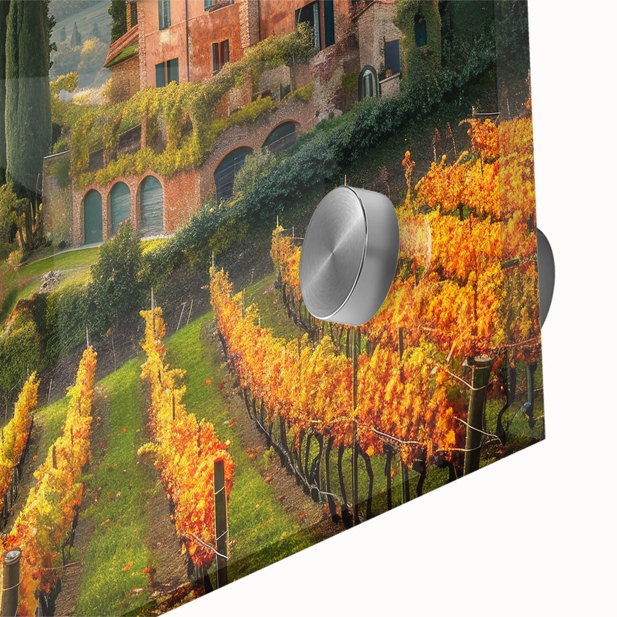 Close-up view of a vibrant vineyard landscape wall art piece, showcasing rich green grapevines against a bright blue sky, designed with acrylic glass for a modern touch.