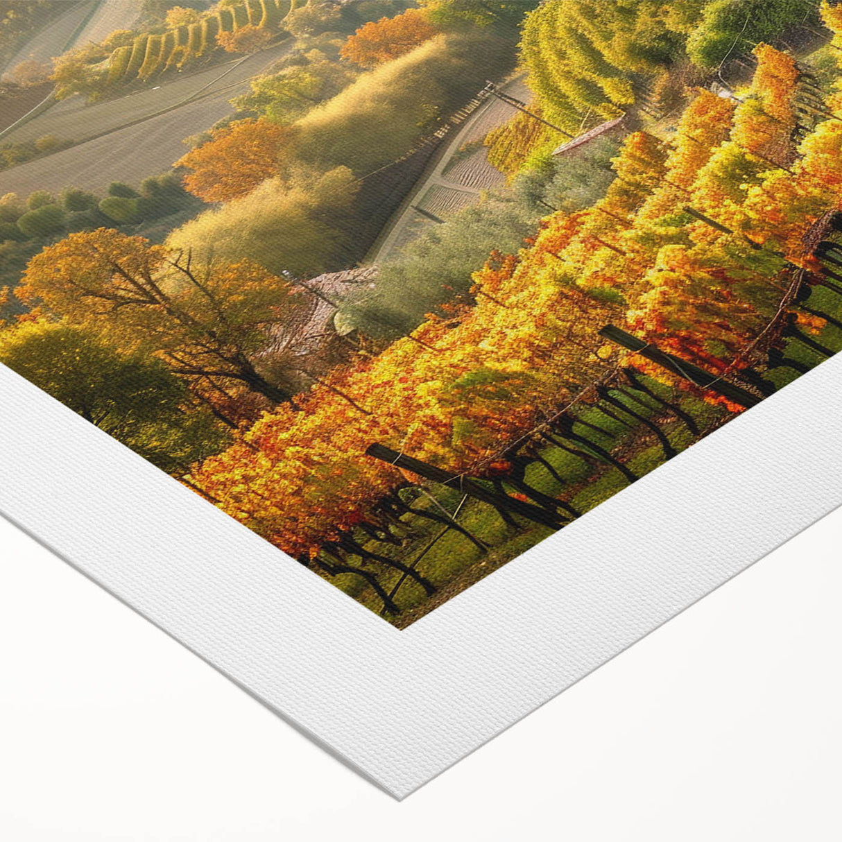 Vibrant rolled canvas artwork depicting a picturesque vineyard landscape, showcasing lush vines and rolling hills, perfect for enhancing home decor.