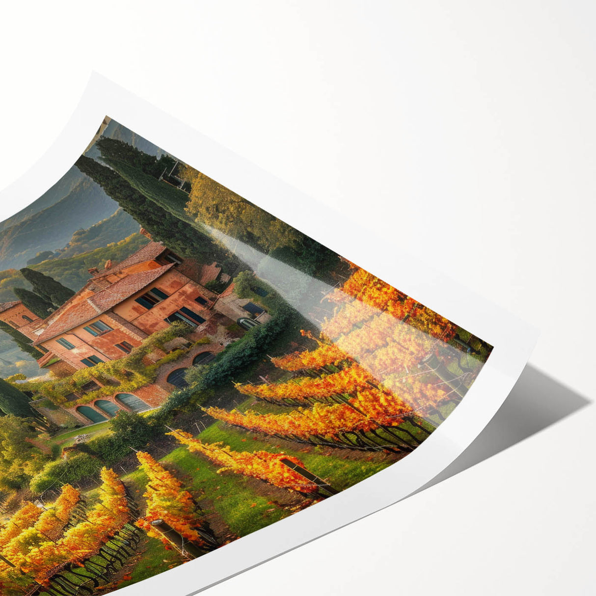 Vibrant rolled print of a vineyard landscape wall art design, showcasing lush green vines and rolling hills, ideal for home decor and art enthusiasts.