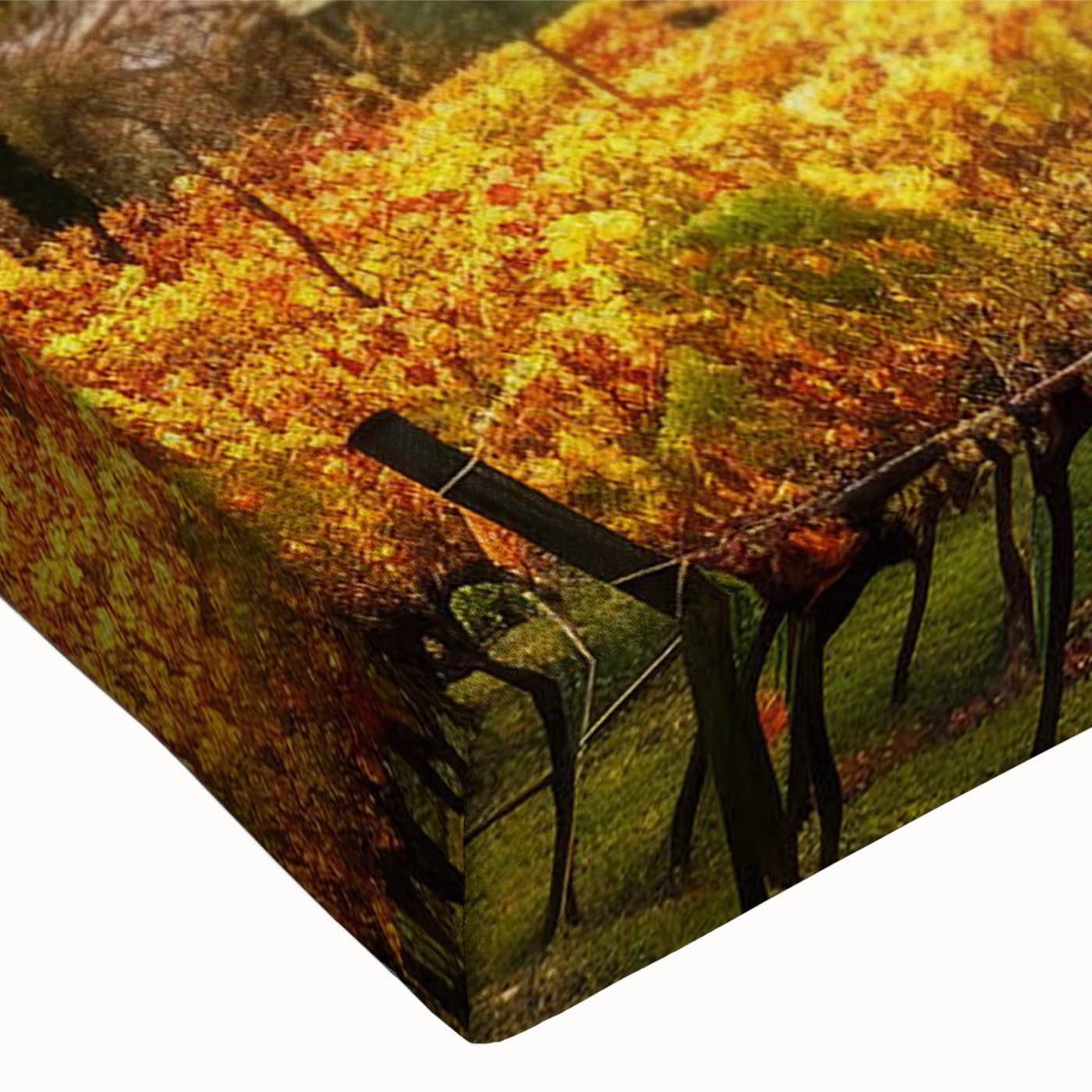 Close-up of a stretched canvas wall art featuring a vibrant vineyard landscape design, showcasing rich green grapevines under a blue sky, perfect for home decor.