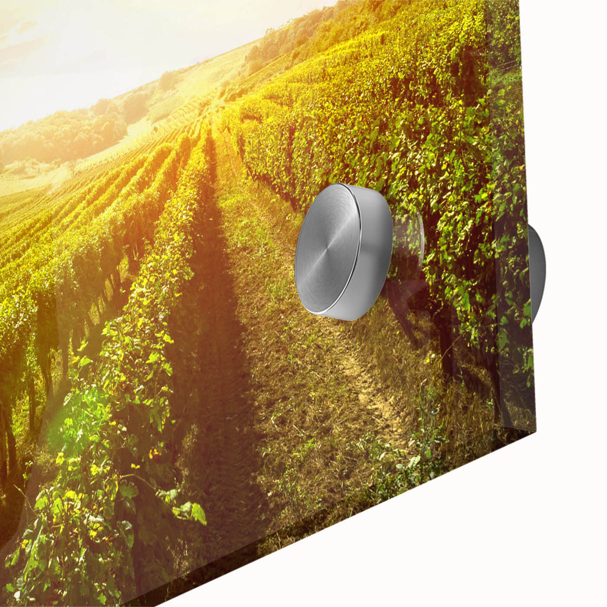 Close-up of a stunning acrylic wall art piece showcasing a vibrant vineyard landscape design, featuring rich green grapevines and a serene blue sky, ideal for enhancing home decor.