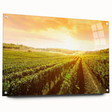 Acrylic glass wall art collection showcasing a vibrant vineyard landscape design, featuring rich green vines and rolling hills, displayed at a side angle with pins for mounting. Ideal for home decor enthusiasts looking to enhance their space with nature-inspired art.