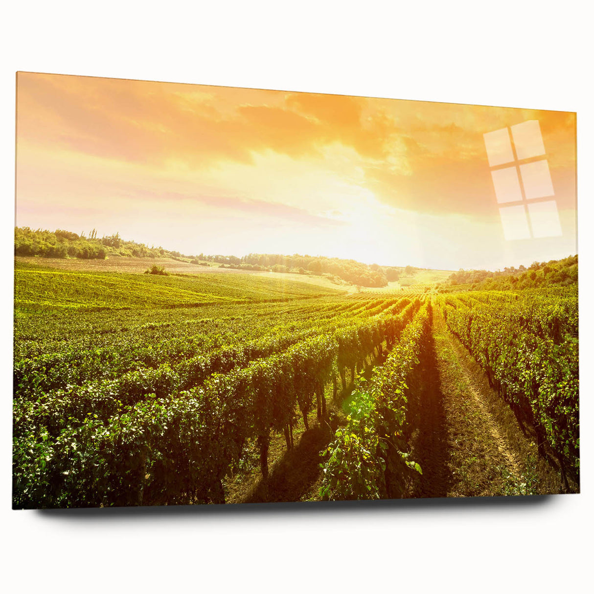 Vibrant acrylic wall art showcasing a scenic vineyard landscape design in rich greens and earthy tones, elegantly displayed in a side view without pins, perfect for home decor.