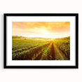 Framed wall art collection showcasing a picturesque vineyard landscape design with a black matte frame, ideal for enhancing home decor and adding a touch of elegance.