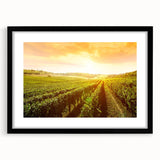 Framed wall art collection showcasing a picturesque vineyard landscape design with a black matte frame, ideal for enhancing home decor and adding a touch of elegance.