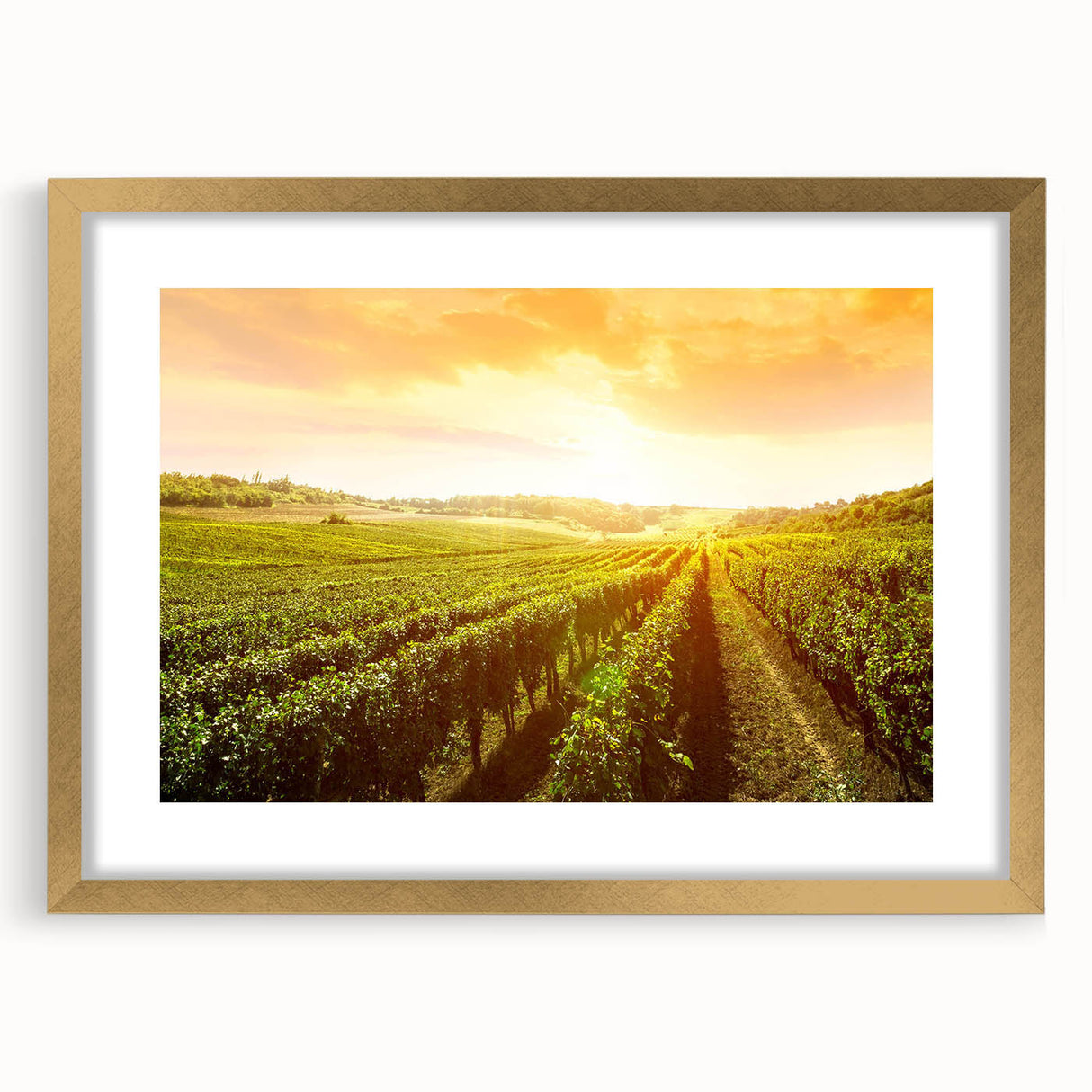 Elegant wall art collection showcasing a vineyard landscape design, framed in gold with a mat, perfect for enhancing home decor and adding a touch of sophistication.