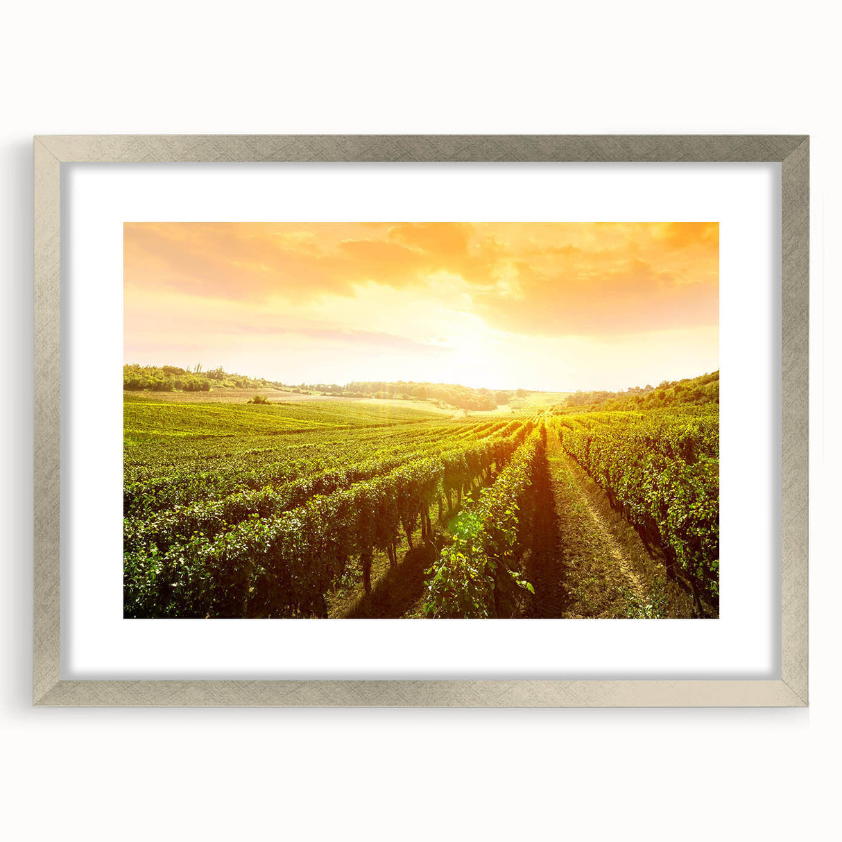 Framed wall art collection showcasing a picturesque vineyard landscape, featuring vibrant green vines and a serene sky, elegantly presented with a silver mat.