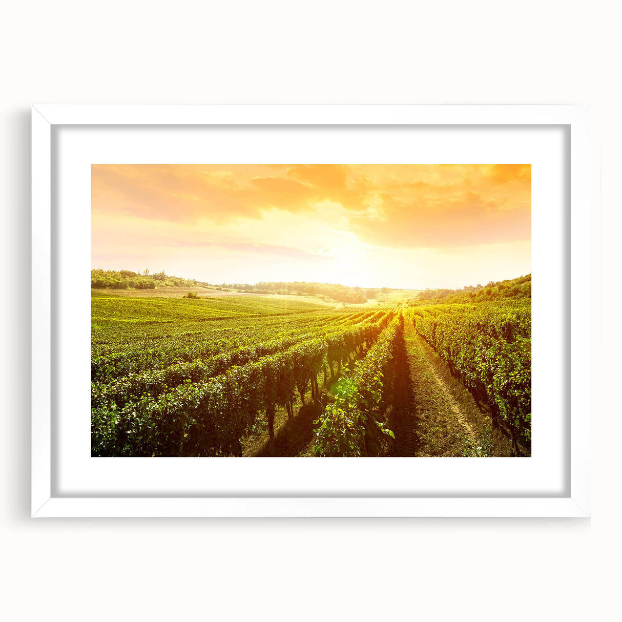 Framed wall art collection showcasing vibrant vineyard landscapes, featuring a white mat and sleek frame, perfect for enhancing home decor and adding elegance.