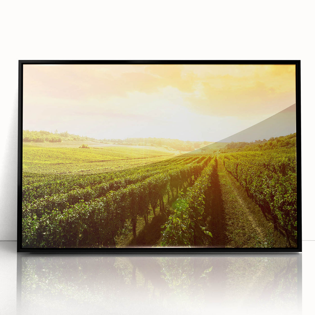 Framed acrylic wall art featuring a beautiful vineyard landscape design in a sleek black frame, showcasing vibrant colors and intricate details, perfect for home decor.