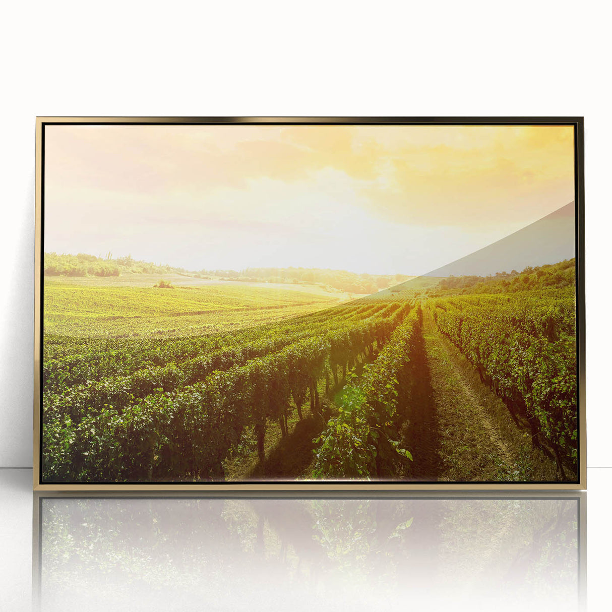 Framed wall art collection showcasing a vibrant vineyard landscape design, featuring rich green vines and golden accents, perfect for enhancing home decor.