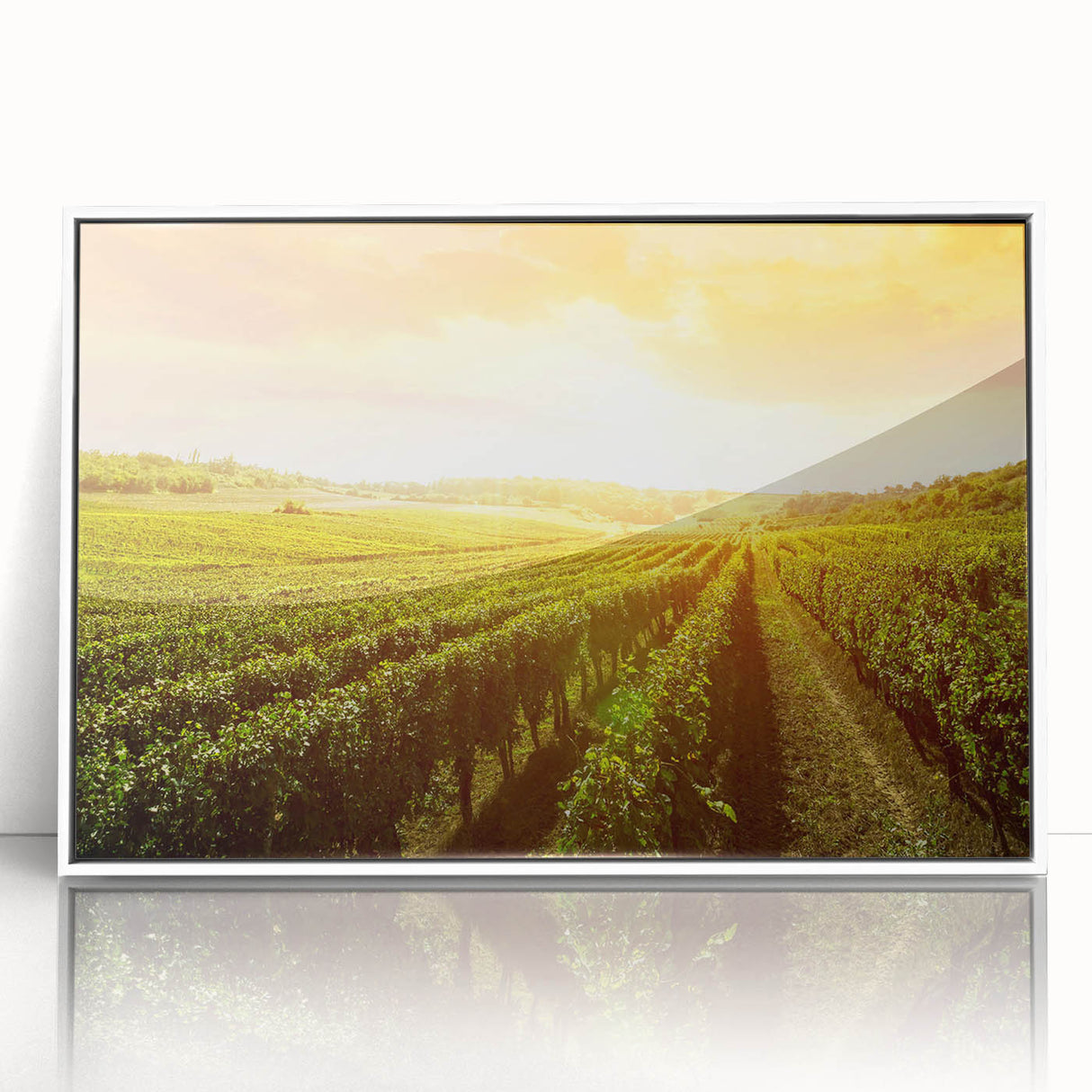 Framed acrylic wall art showcasing a picturesque vineyard landscape design, featuring rich green vines and a serene countryside view. Perfect for enhancing home decor.