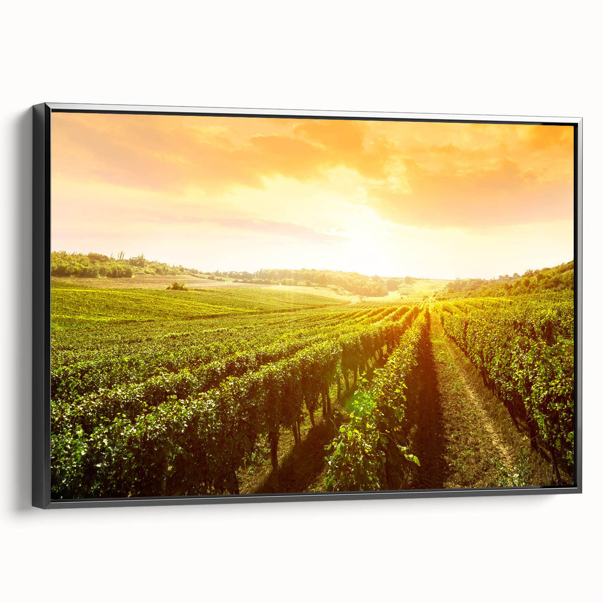 Framed canvas artwork depicting a vibrant vineyard landscape with rich green vines and rolling hills, showcasing a black frame and side view for elegant decor appeal.