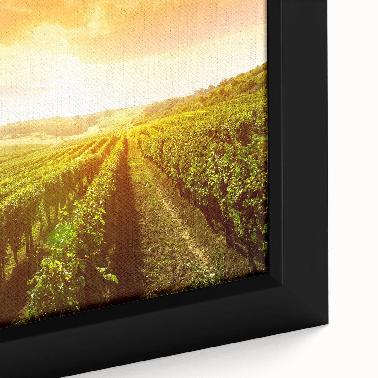 Framed canvas close-up of a vibrant vineyard landscape artwork, showcasing rich green grapevines under a clear blue sky, perfect for enhancing home decor.