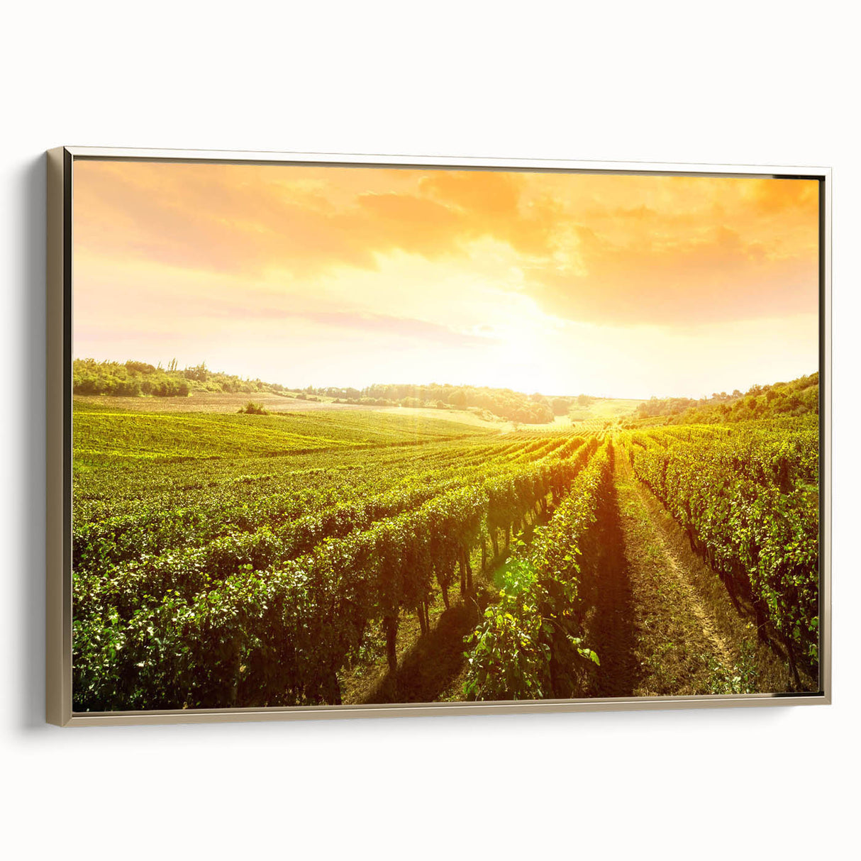 Framed canvas wall art showcasing a vibrant vineyard landscape design with golden hues, perfect for enhancing interior decor in homes or offices.