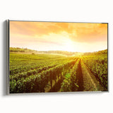 Framed canvas wall art showcasing a picturesque vineyard landscape, featuring lush green vines and rolling hills, elegantly bordered in silver. Perfect for enhancing home decor.