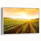Framed canvas wall art showcasing a vibrant vineyard landscape design, featuring rich green grapevines and rolling hills, perfect for enhancing home decor.