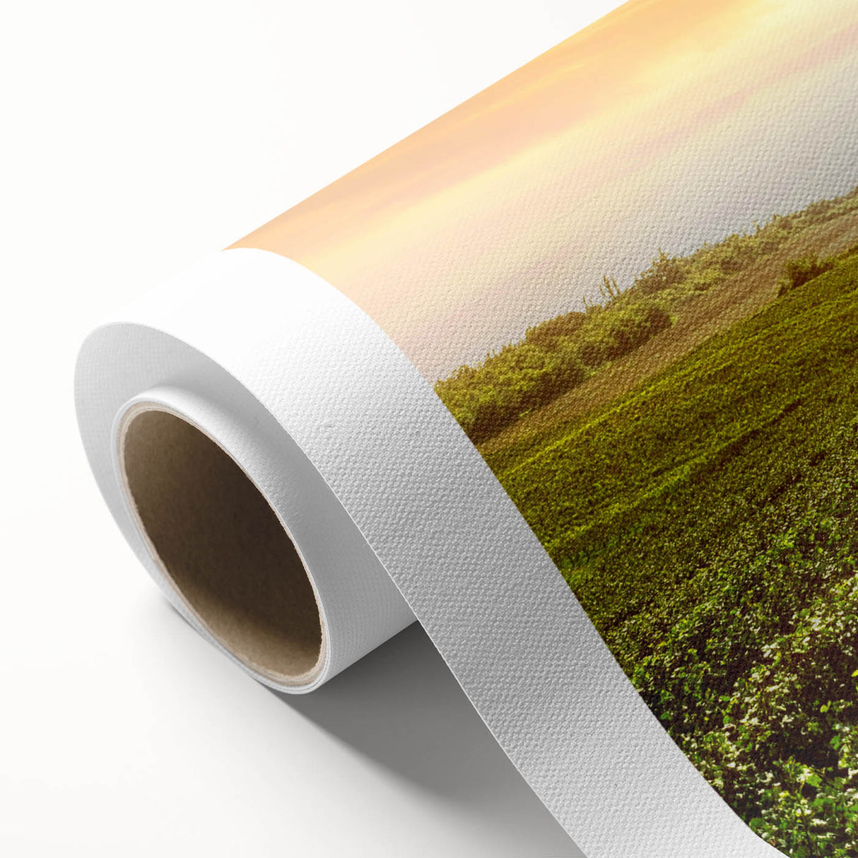 Vibrant rolled canvas showcasing a picturesque vineyard landscape design, highlighting lush green vines and rolling hills, perfect for home decor or art collections.