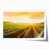 Vibrant rolled canvas art print showcasing a picturesque vineyard landscape with lush green vines and rolling hills, perfect for home decor.
