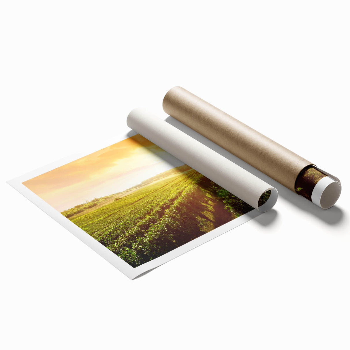 Vibrant vineyard landscape wall art print showcasing lush green grapevines under a clear blue sky, ideal for enhancing home decor with a rustic charm.