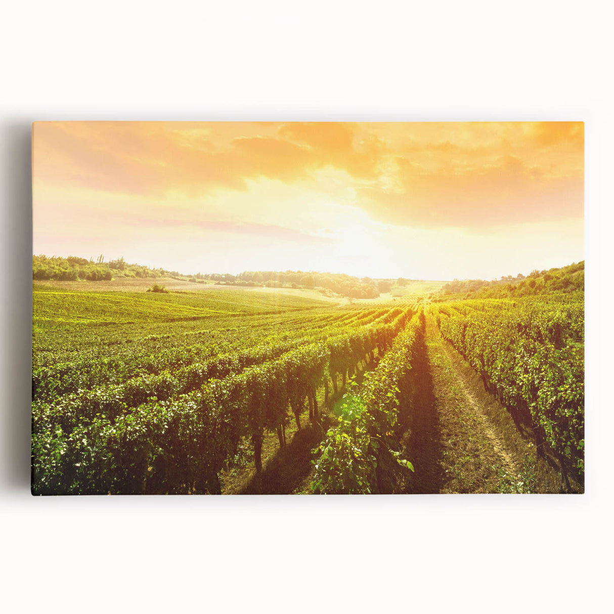 Vibrant stretched canvas wall art showcasing a scenic vineyard landscape, featuring rich green grapevines and rolling hills, perfect for enhancing home decor.
