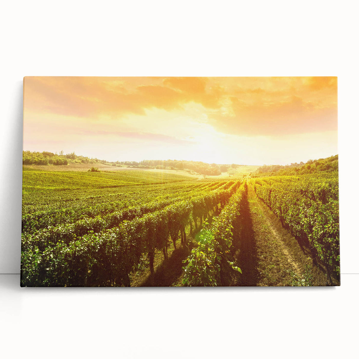 Stretched canvas wall art featuring a scenic vineyard landscape with lush green vines and rolling hills, perfect for home décor. Ideal for wine enthusiasts and nature lovers.