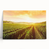 Stretched canvas wall art featuring a scenic vineyard landscape with lush green vines and rolling hills, perfect for home décor. Ideal for wine enthusiasts and nature lovers.