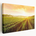 Vibrant stretched canvas wall art featuring a picturesque vineyard landscape, showcasing lush green vines and rolling hills in a serene setting, perfect for enhancing home decor.