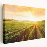 Vibrant stretched canvas wall art featuring a picturesque vineyard landscape, showcasing lush green vines and rolling hills in a serene setting, perfect for enhancing home decor.