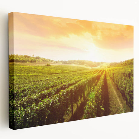 Vibrant stretched canvas wall art featuring a picturesque vineyard landscape, showcasing lush green vines and rolling hills in a serene setting, perfect for enhancing home decor.