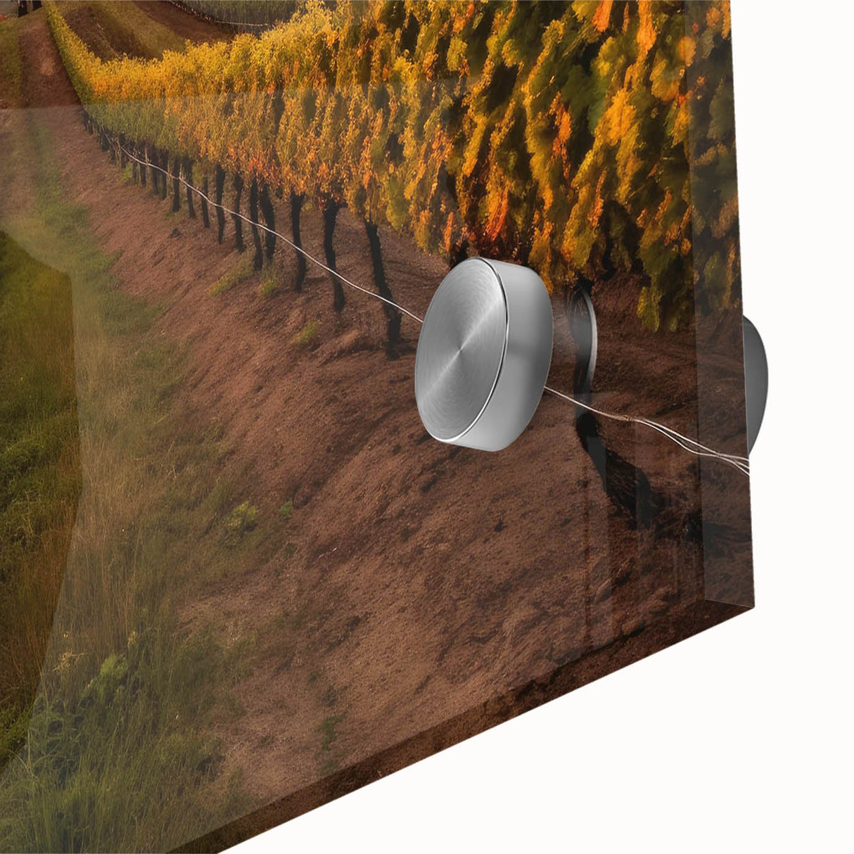 Close-up view of a vibrant vineyard landscape wall art piece, featuring rich green grapevines and colorful autumn foliage, printed on acrylic glass for a modern decor look.