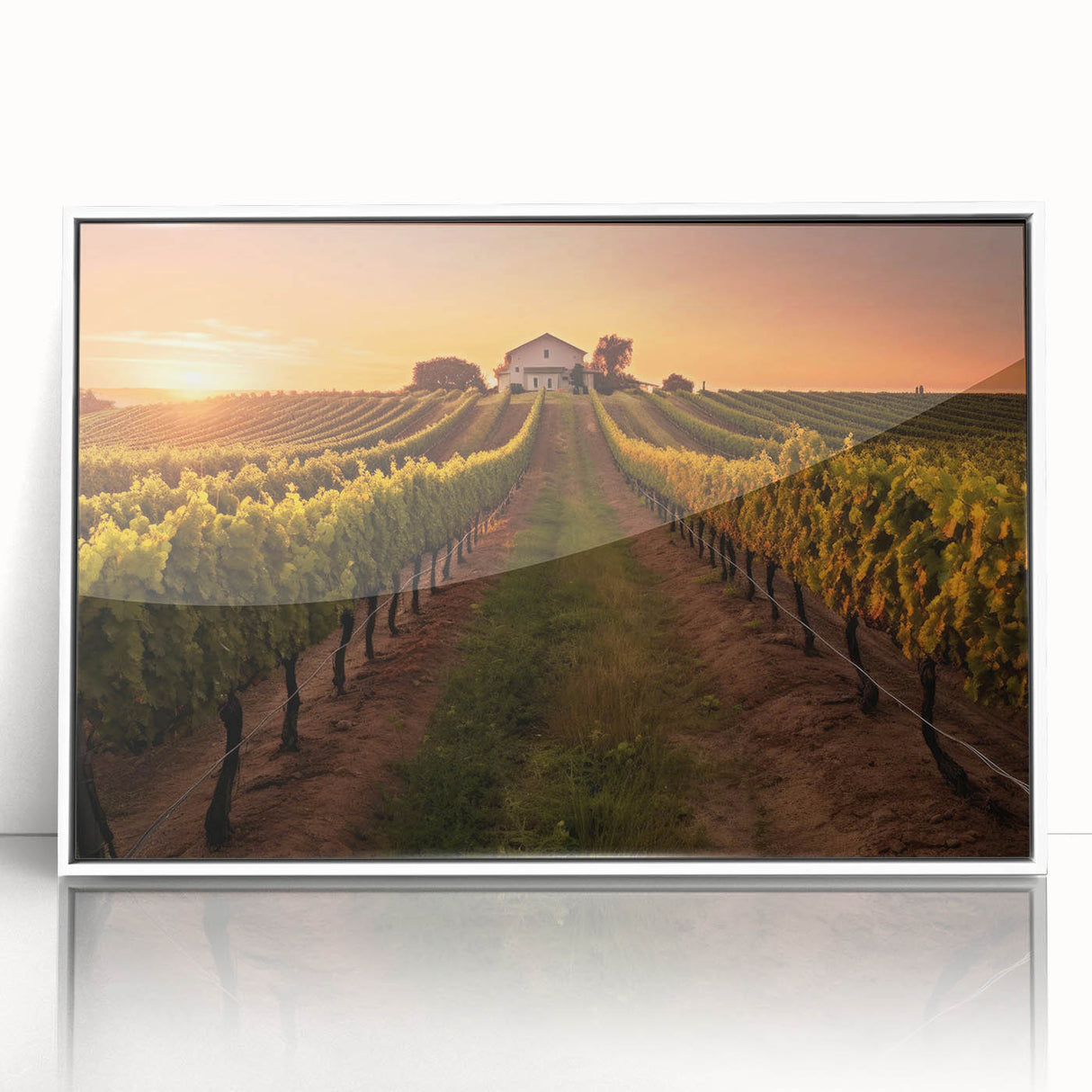 Framed acrylic wall art featuring a vibrant vineyard landscape design, showcasing rich green vines and a serene blue sky, perfect for enhancing home decor.