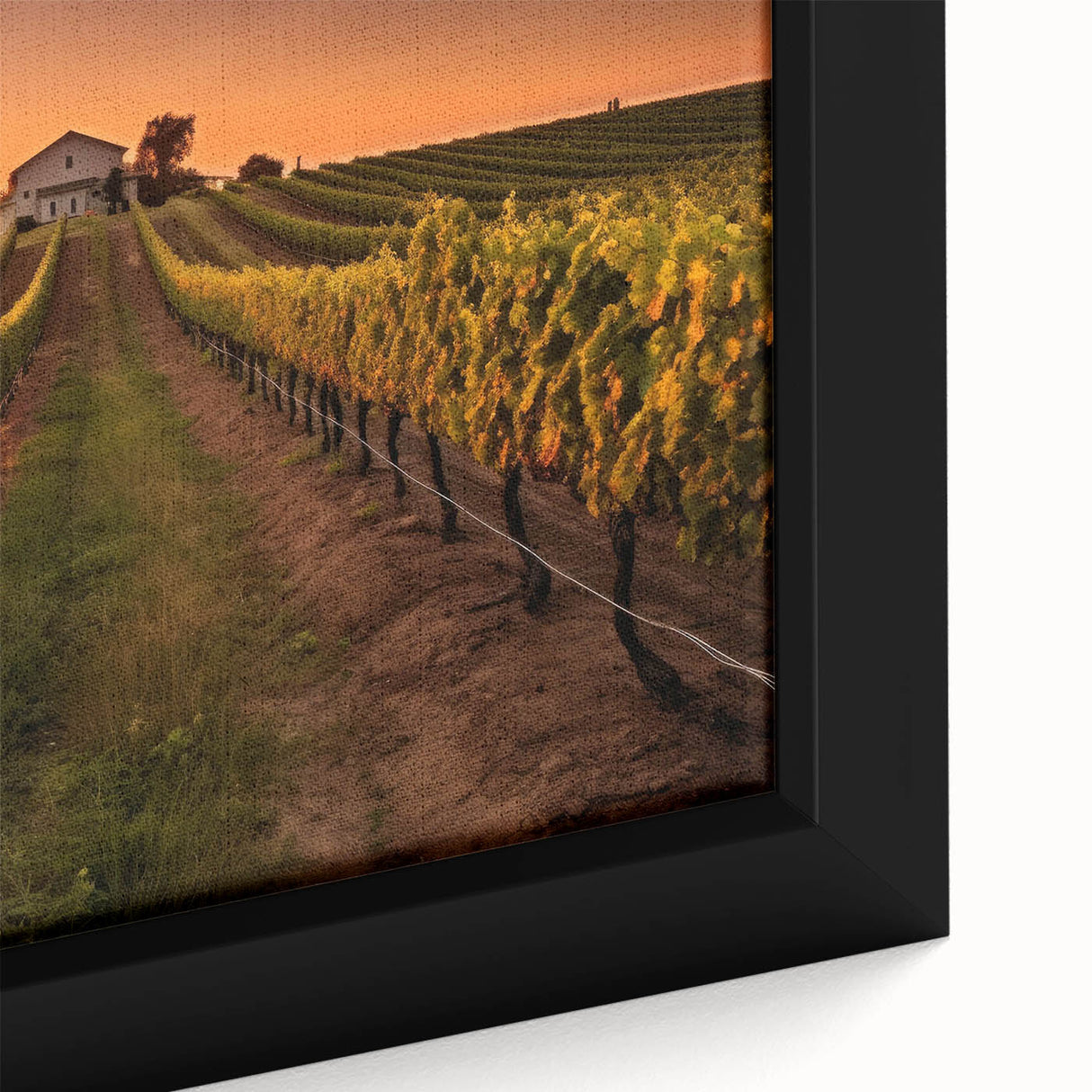 Close-up of a framed canvas art piece depicting a lush vineyard landscape, showcasing vibrant green grapevines under a clear blue sky, perfect for home decor.