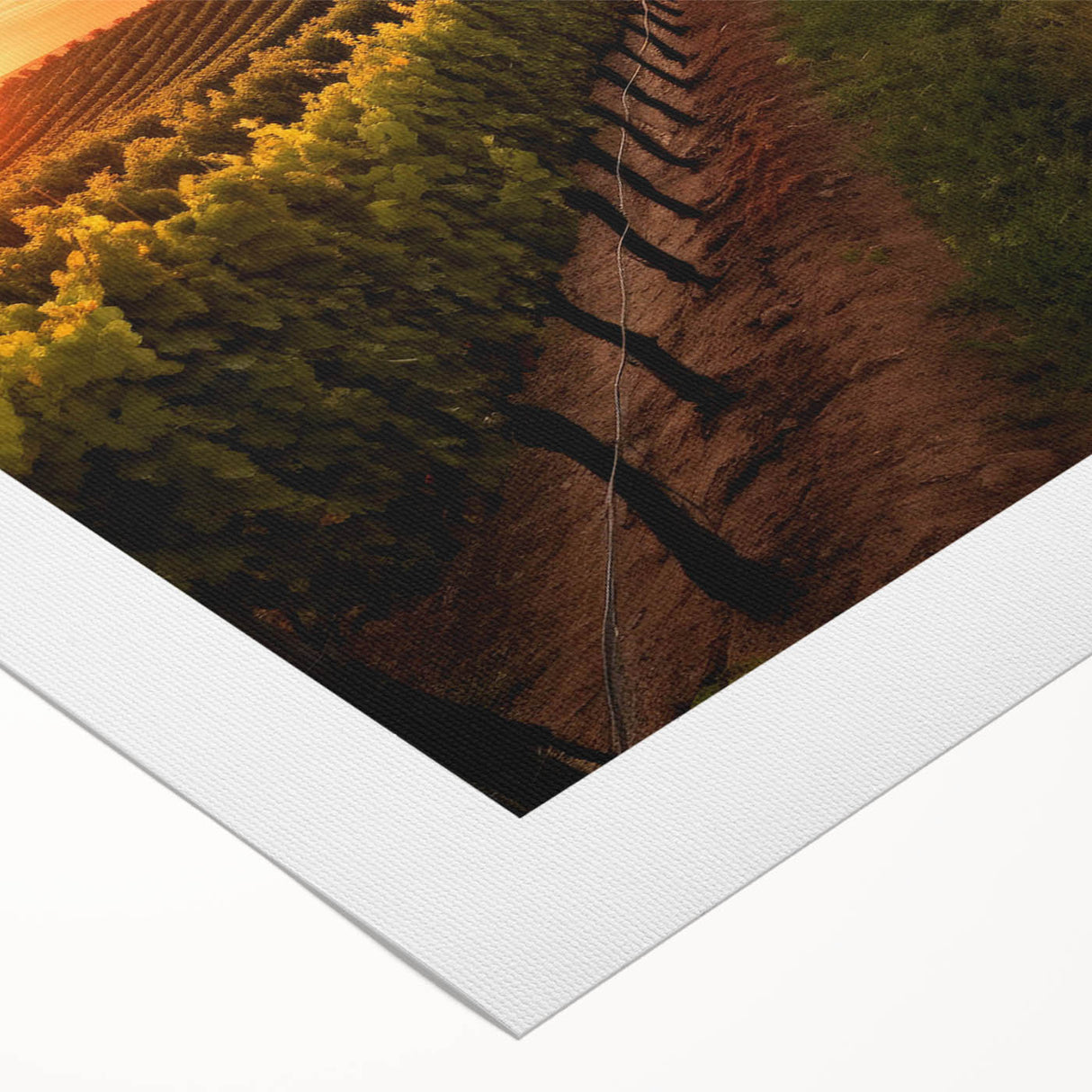 Vibrant rolled canvas artwork depicting a serene vineyard landscape, showcasing lush green vines and rolling hills under a blue sky, perfect for home decor.