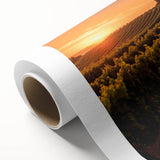Vibrant rolled canvas artwork depicting a serene vineyard landscape, showcasing lush green grapevines under a clear blue sky, perfect for home decor.
