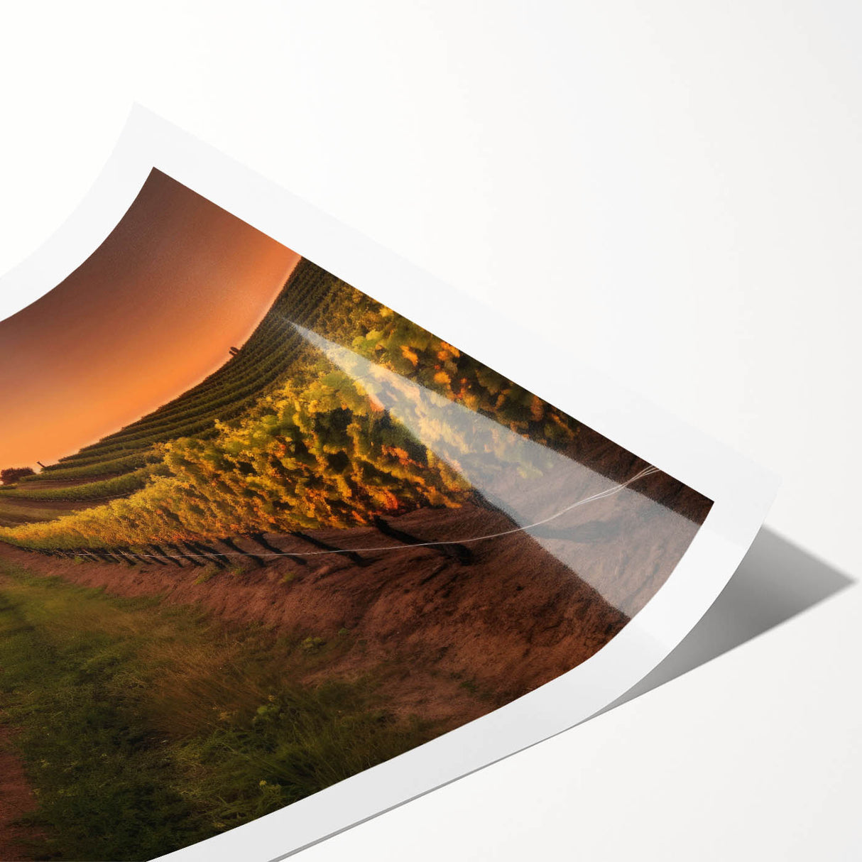 Vibrant rolled print depicting a serene vineyard landscape with lush green vines and soft hills, ideal for home decor or art collection.