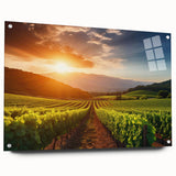 Acrylic glass wall art featuring a vibrant vineyard landscape design, showcasing lush green vines and rolling hills, ideal for modern home decor.