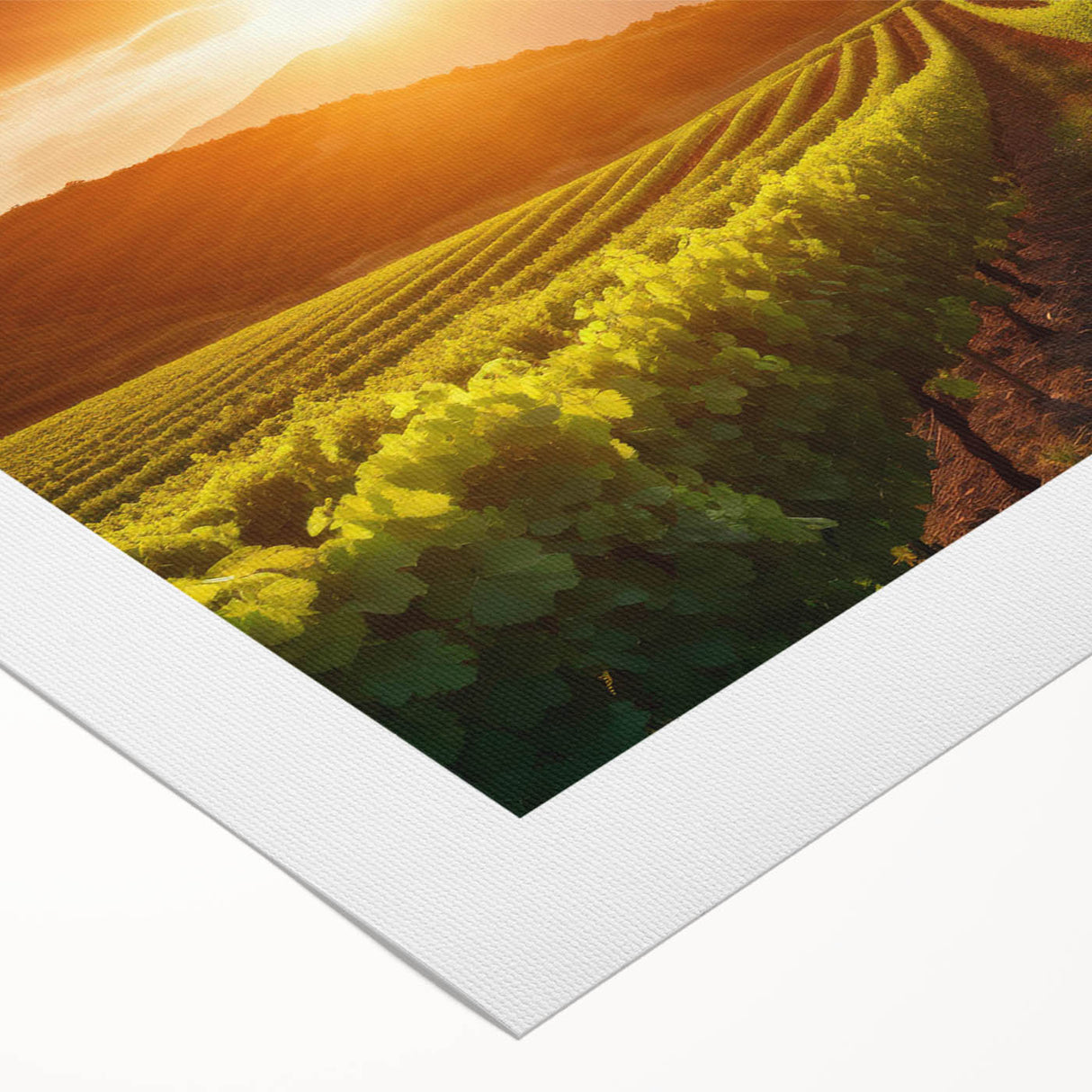Stunning vineyard landscape wall art design on rolled canvas, showcasing vibrant green grapevines under a bright blue sky, perfect for enhancing home decor.