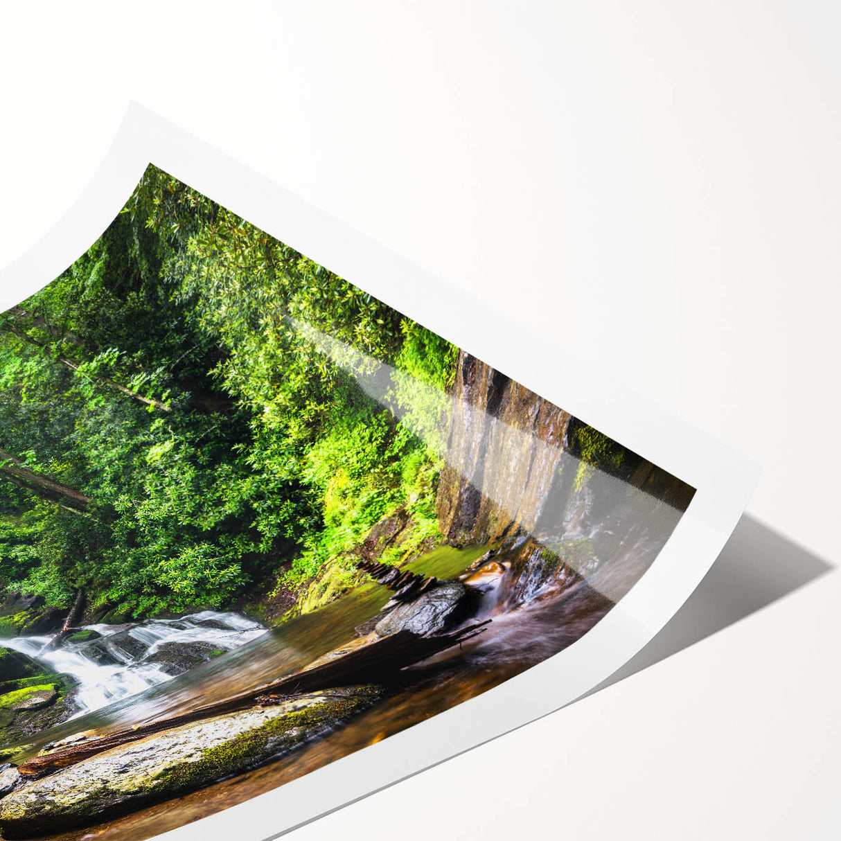 Vibrant rolled print of a serene waterfall landscape artwork, showcasing lush greenery and cascading water, perfect for home decor or office ambiance. Ideal for nature lovers seeking tranquility in wall art.